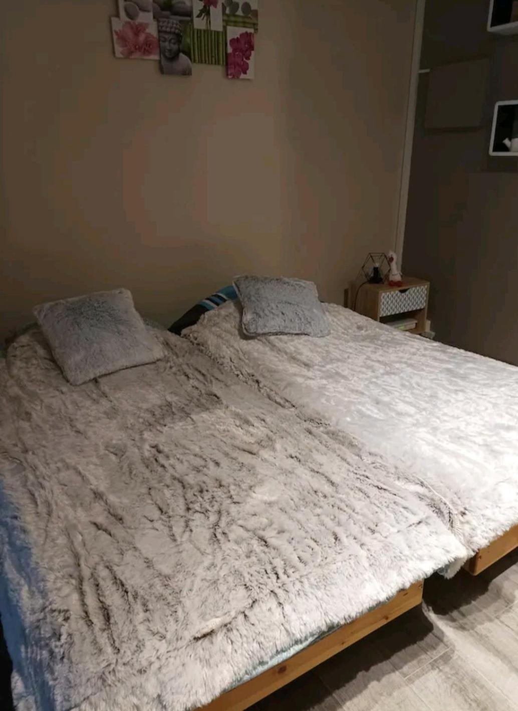 Apartamento Le Cocon De Sausheim Habitación foto