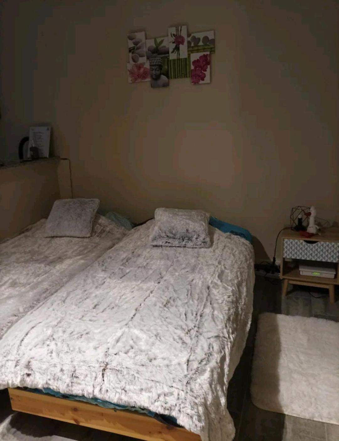 Apartamento Le Cocon De Sausheim Habitación foto